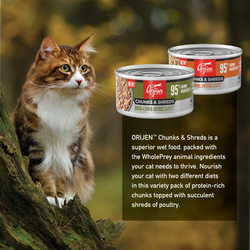 null - Product thumbnail 6.0